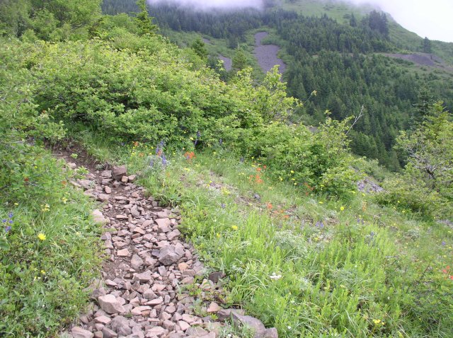 6.10.06 Table Mtn_3CR 043 